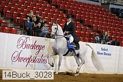 14buck_3028 proof