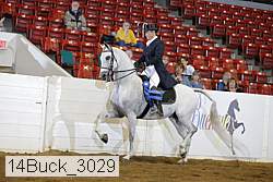 14buck_3029 proof