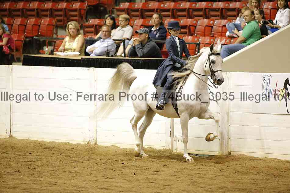 Proof 14buck_3035