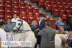 14buck_3039 proof