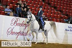 14buck_3040 proof