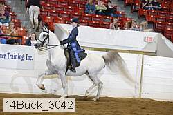 14buck_3042 proof