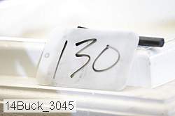 14buck_3045 proof