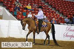 14buck_3047 proof