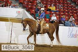14buck_3048 proof