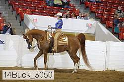 14buck_3050 proof
