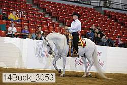 14buck_3053 proof