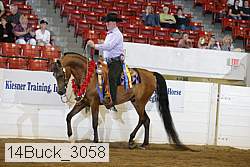 14buck_3058 proof
