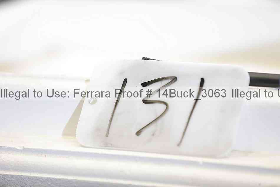 Proof 14buck_3063