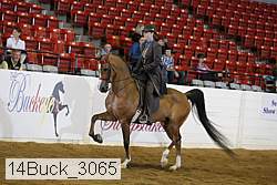 14buck_3065 proof
