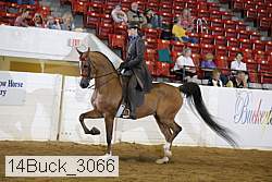 14buck_3066 proof