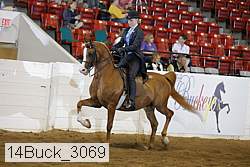 14buck_3069 proof