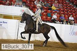 14buck_3071 proof