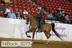 14buck_3073 proof