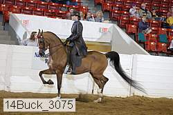 14buck_3075 proof