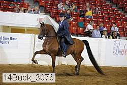 14buck_3076 proof