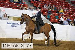 14buck_3077 proof