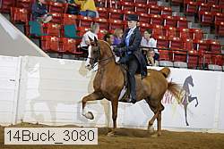 14buck_3080 proof