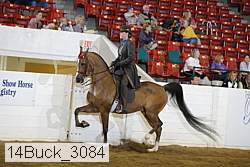 14buck_3084 proof