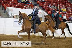 14buck_3085 proof