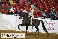 14buck_3086 proof