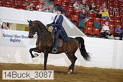 14buck_3087 proof