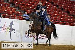14buck_3088 proof