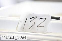 14buck_3094 proof