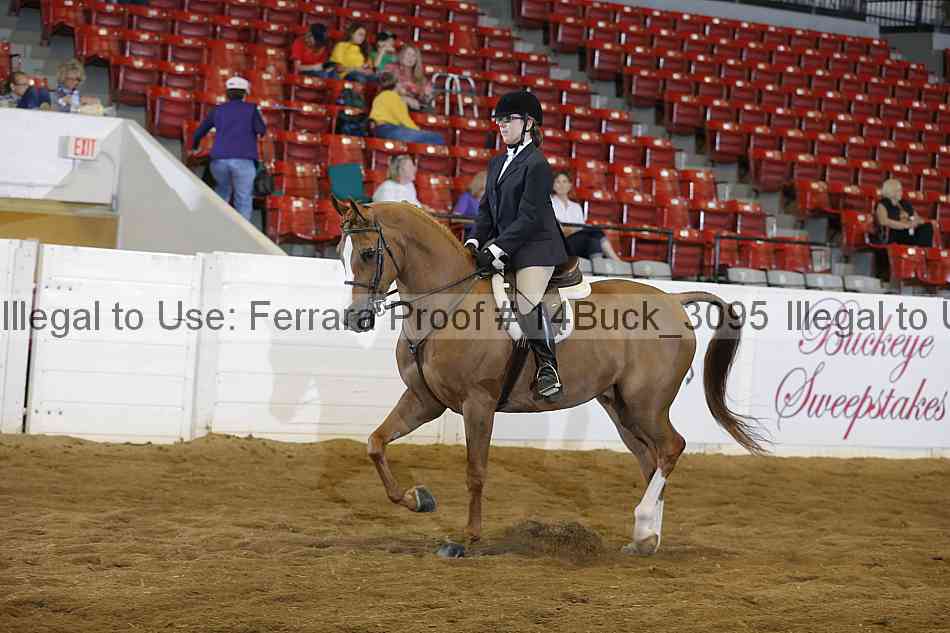 Proof 14buck_3095