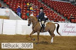 14buck_3095 proof