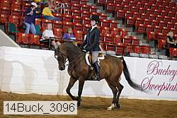 14buck_3096 proof