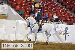 14buck_3099 proof