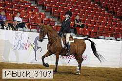14buck_3103 proof