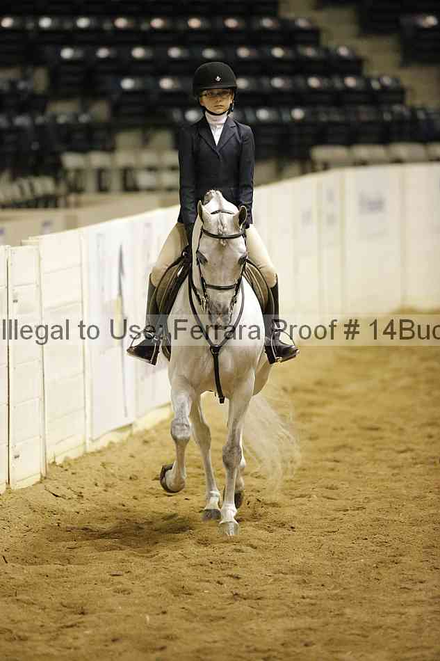 Proof 14buck_3104