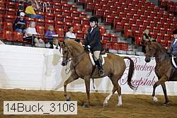 14buck_3106 proof