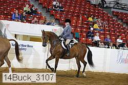 14buck_3107 proof