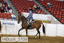 14buck_3109 proof