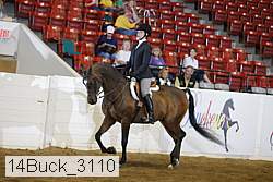 14buck_3110 proof