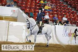 14buck_3112 proof