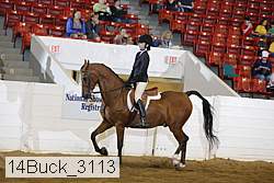 14buck_3113 proof