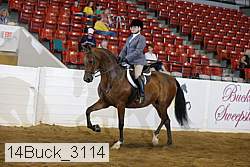 14buck_3114 proof