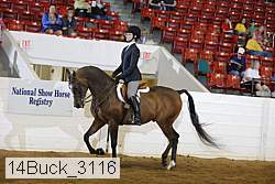 14buck_3116 proof