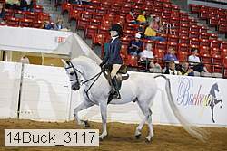 14buck_3117 proof