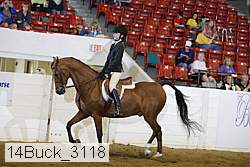 14buck_3118 proof