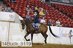 14buck_3119 proof