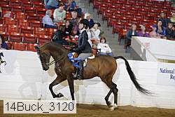 14buck_3120 proof