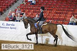 14buck_3121 proof