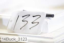 14buck_3123 proof