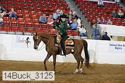 14buck_3125 proof