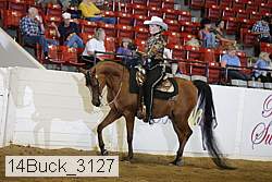 14buck_3127 proof